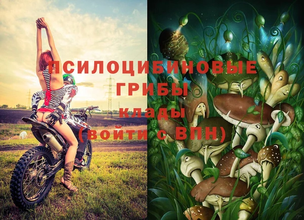 дмт Гусев