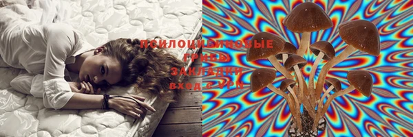 дмт Гусев