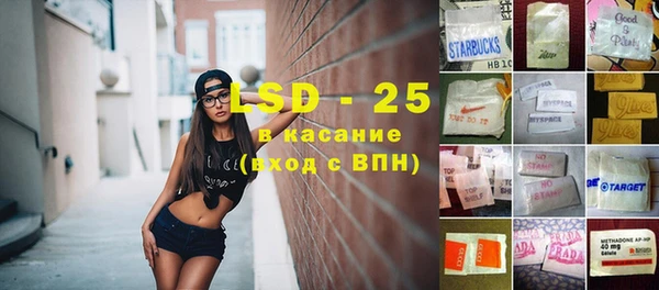 дмт Гусев