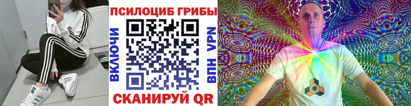 Псилоцибиновые грибы Psilocybine cubensis  Купить закладки  Кашин 