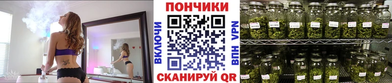 Бошки Шишки марихуана  Купить где  Кашин 